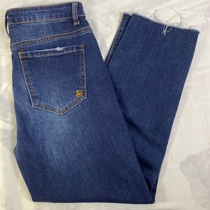 Indigo Rein Skinny Ankle Jeans Size 5